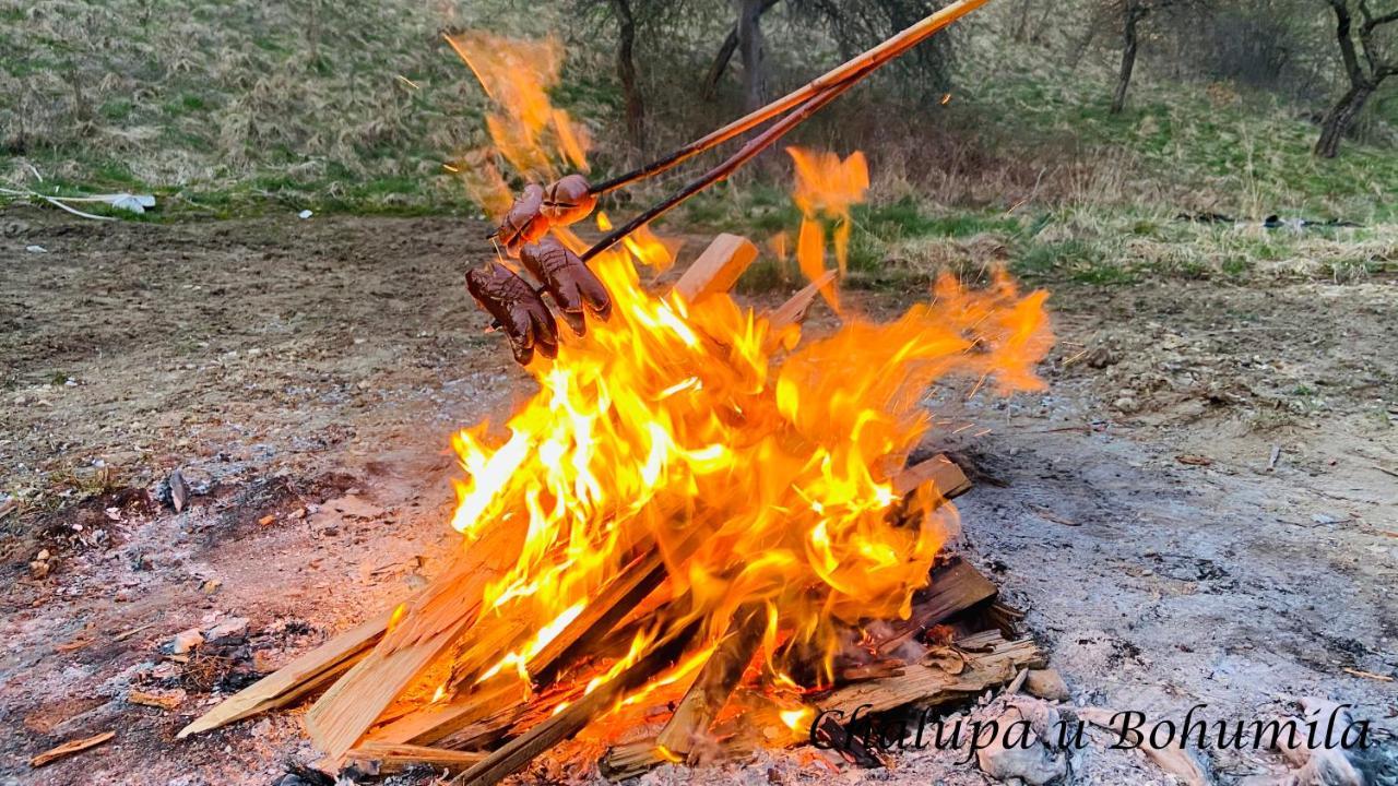 Chalupa U Bohumila Rybna nad Zdobnici Luaran gambar