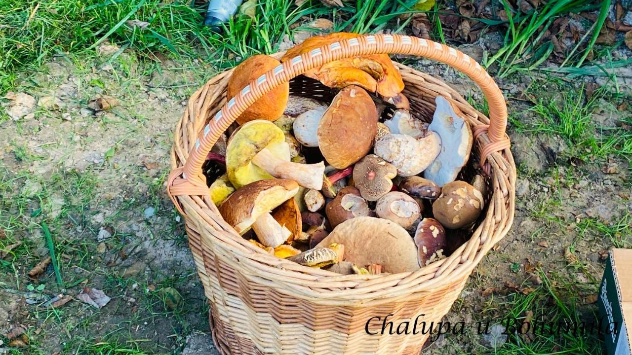 Chalupa U Bohumila Rybna nad Zdobnici Luaran gambar