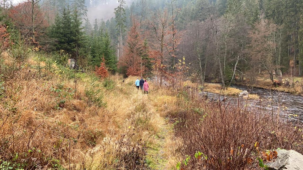 Chalupa U Bohumila Rybna nad Zdobnici Luaran gambar