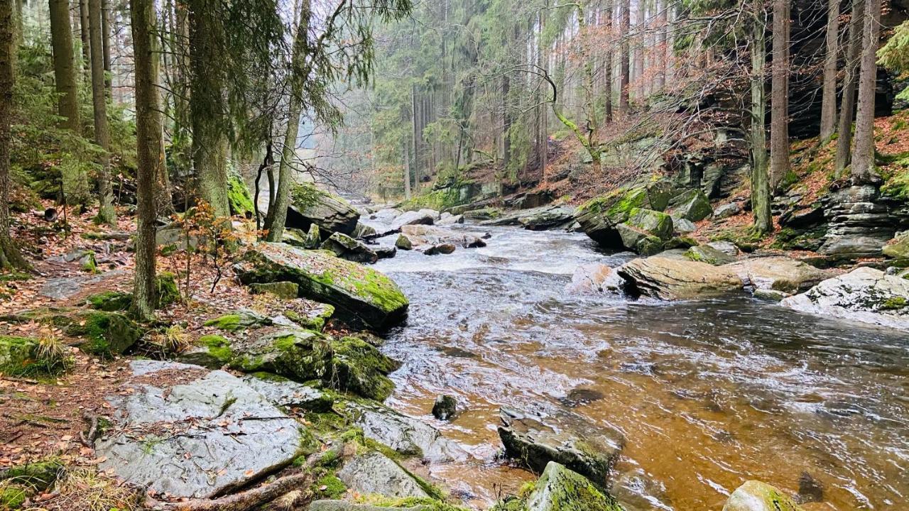 Chalupa U Bohumila Rybna nad Zdobnici Luaran gambar