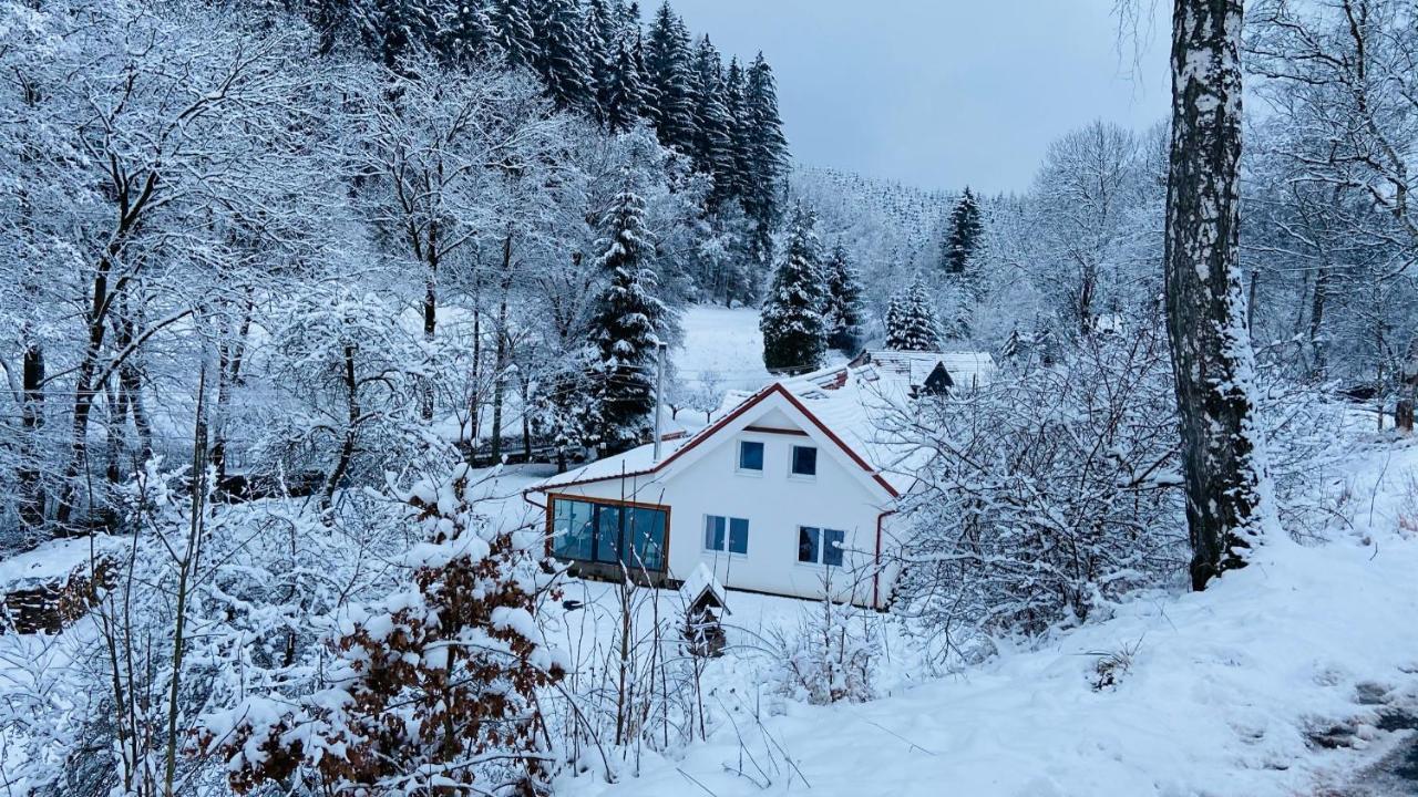 Chalupa U Bohumila Rybna nad Zdobnici Luaran gambar